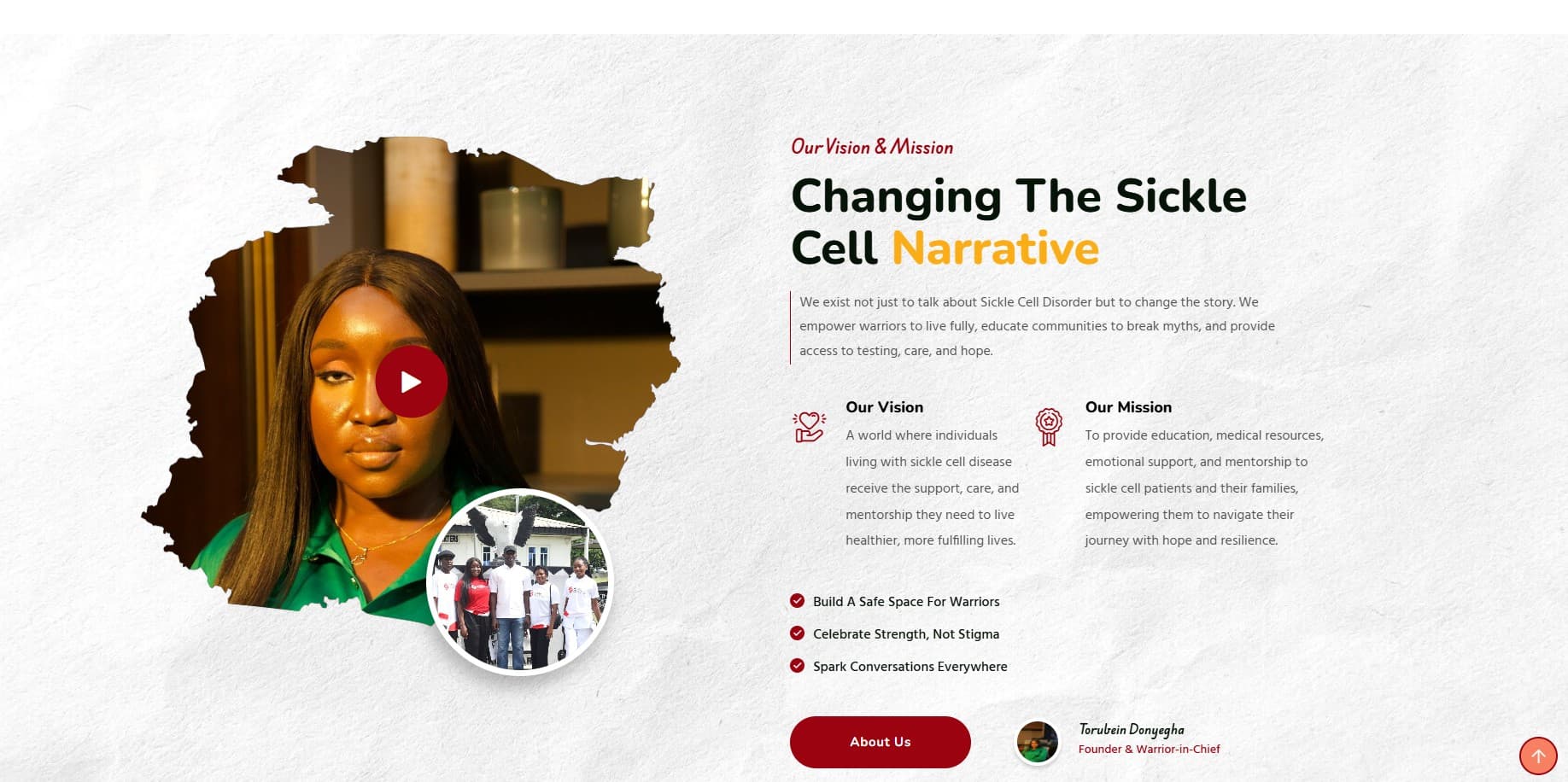 BeyonsickleCell Foundation Screenshot 2